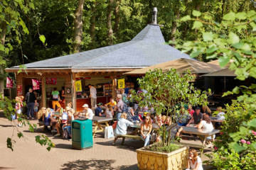 Generieke afbeelding voor image content