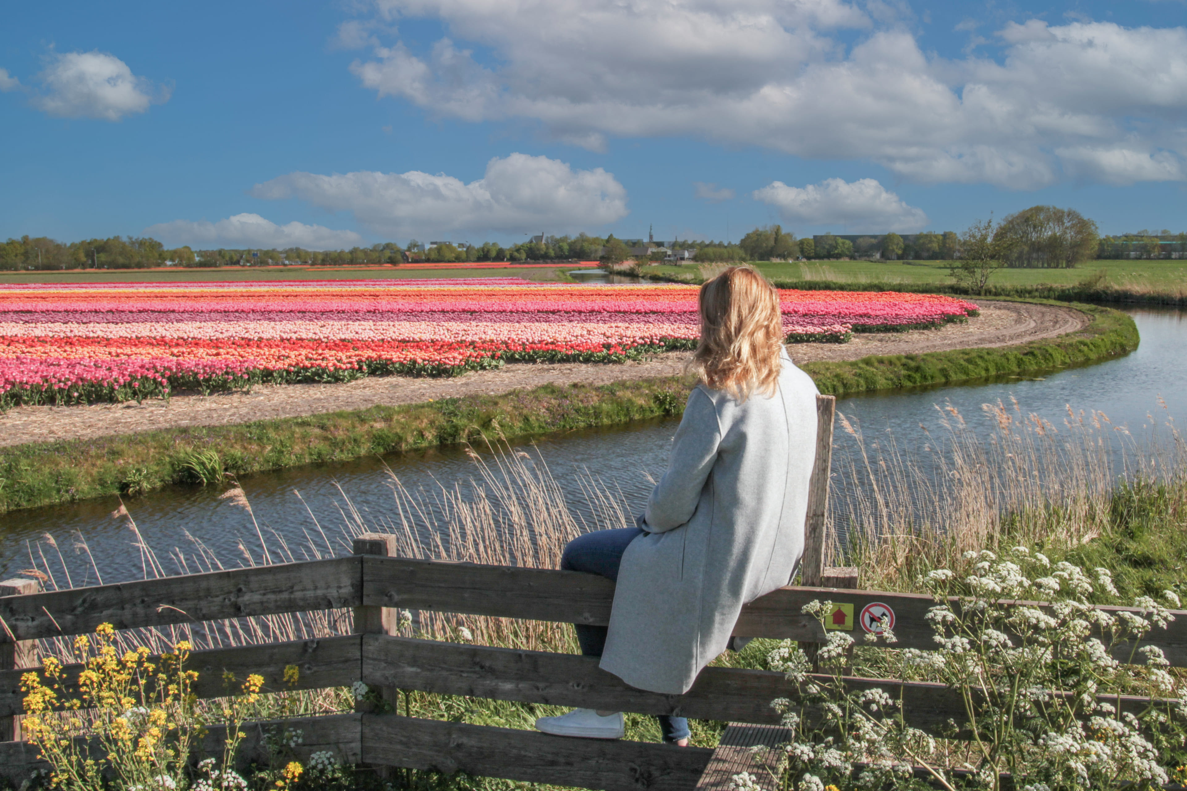 Generieke afbeelding van de achtergrond afbeelding