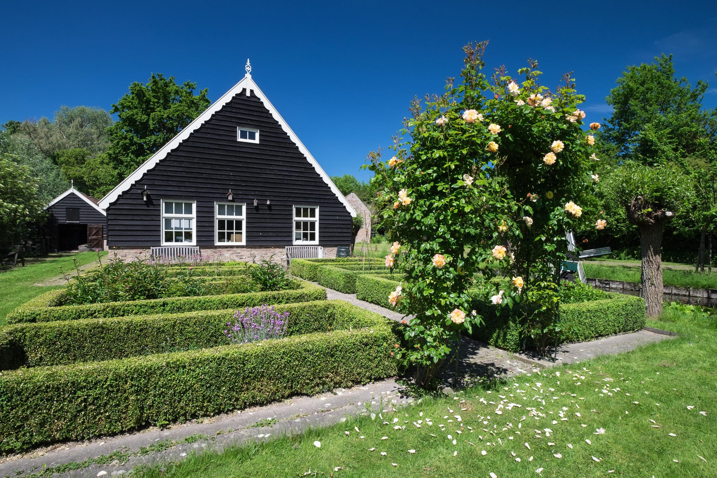 Generieke afbeelding voor image content